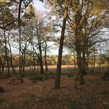 Vakantiewoning Met Vrij Uitzicht Aan De Rand Natuurgebied 't Zand. * Зелхем